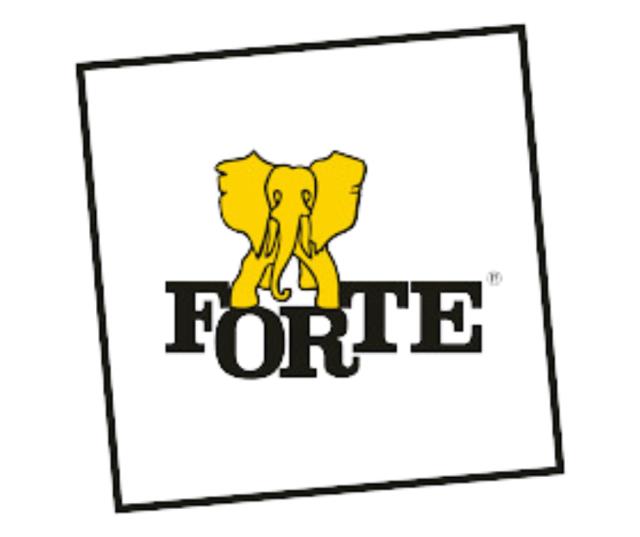 Tanne Forte